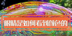 人類是如何看顏色的，影響人眼分辨顏色的因素有哪些?